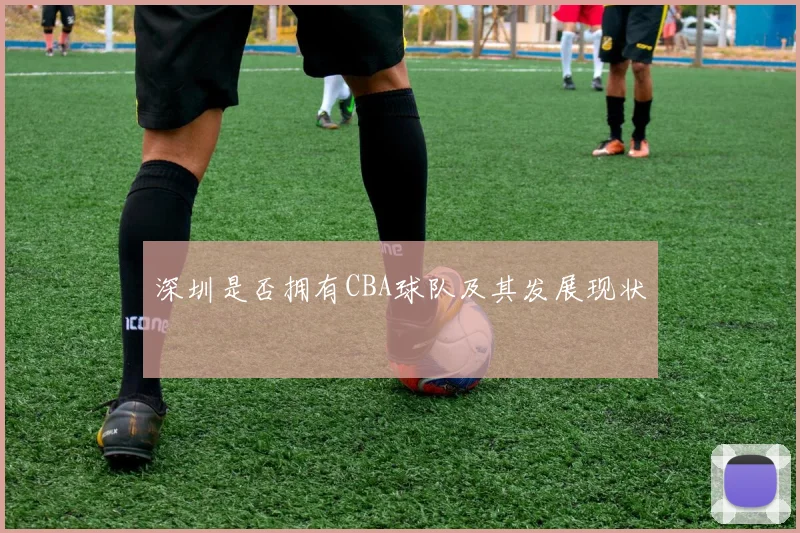 深圳是否拥有CBA球队及其发展现状